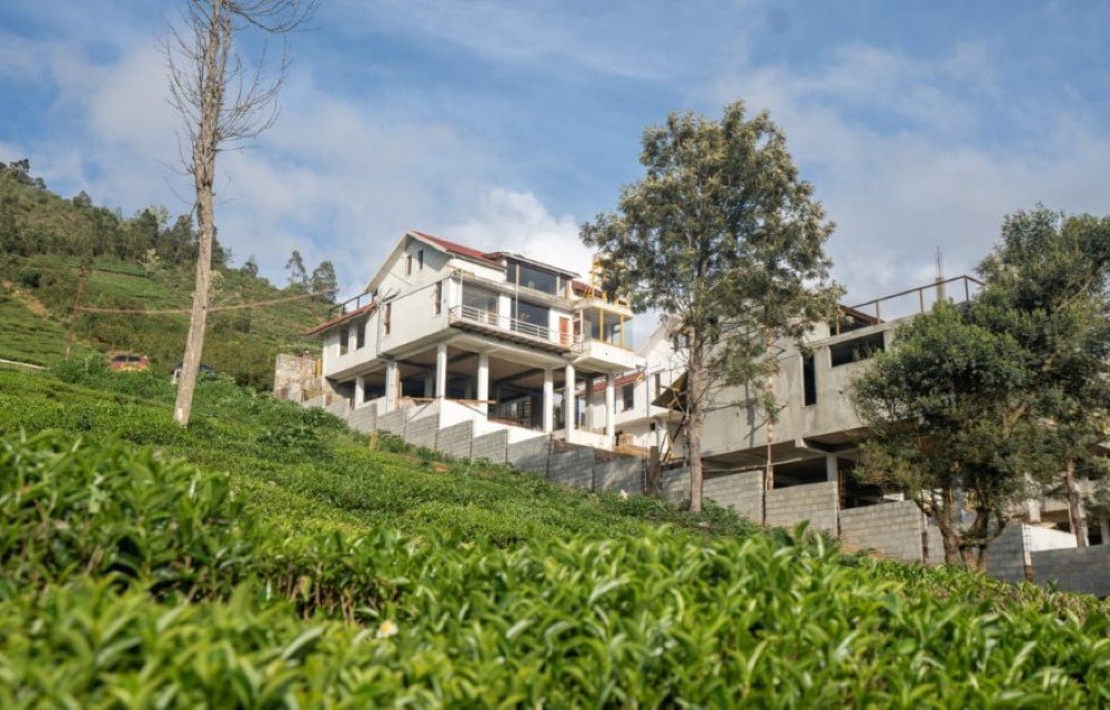 Mandarin Orchid Resort Blog Picture