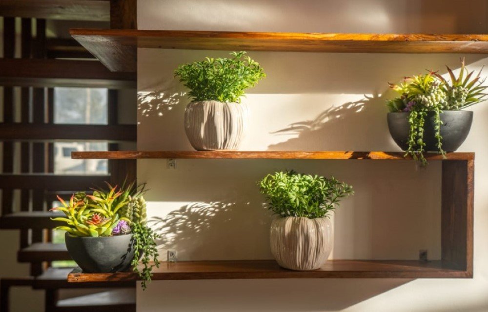 Mandarin Orchid Resort Blog Picture